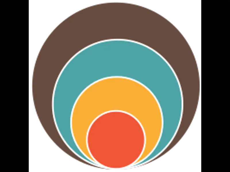 Snapshot of concentric-circle-2