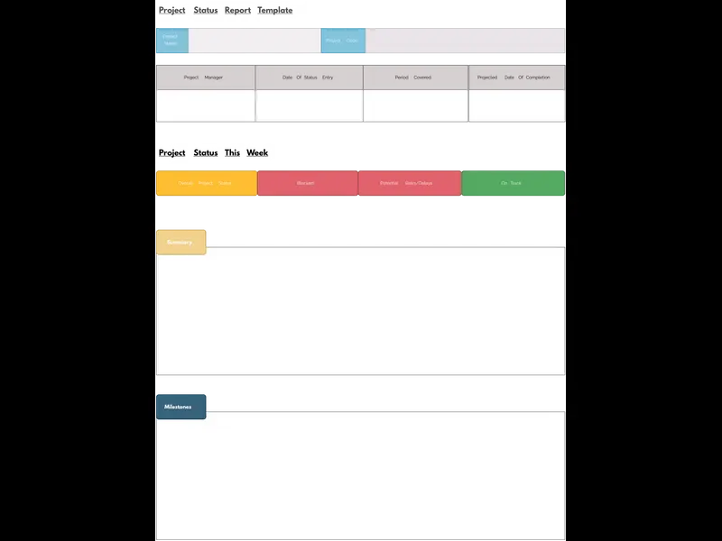 Snapshot of Project Status Report Template