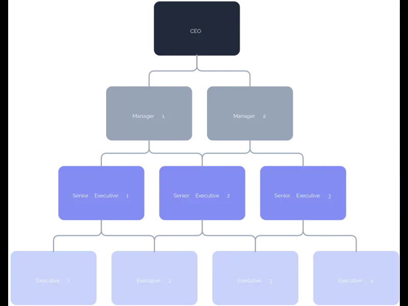 Snapshot of Hierarchy Diagram Template