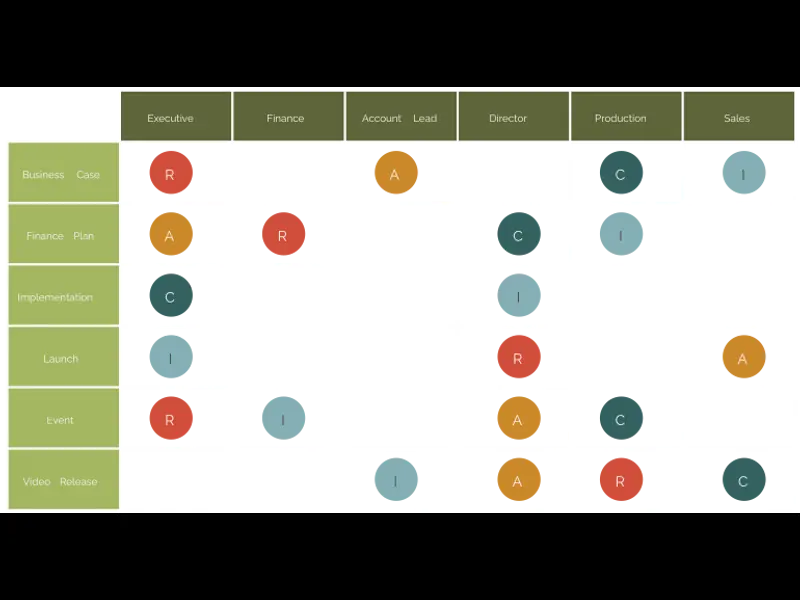 Snapshot of RACI Chart Example
