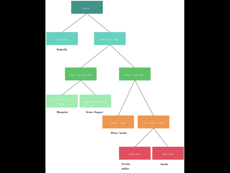 Snapshot of Dichotomous Key for Insects