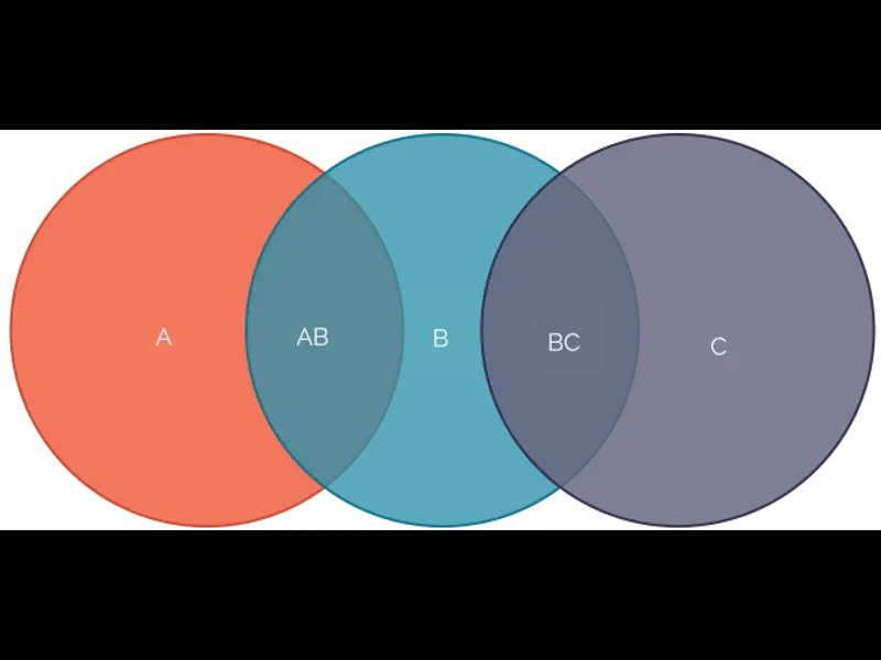 Snapshot of Venn Diagram Template 03