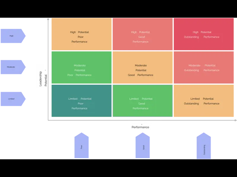 Snapshot of 9 Box Model