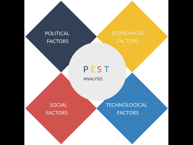 Snapshot of PEST Analysis 2